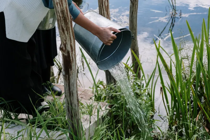 Soaked in Secrets: What Your 'Sustainable' Denim Brand Isn't Telling You About Water